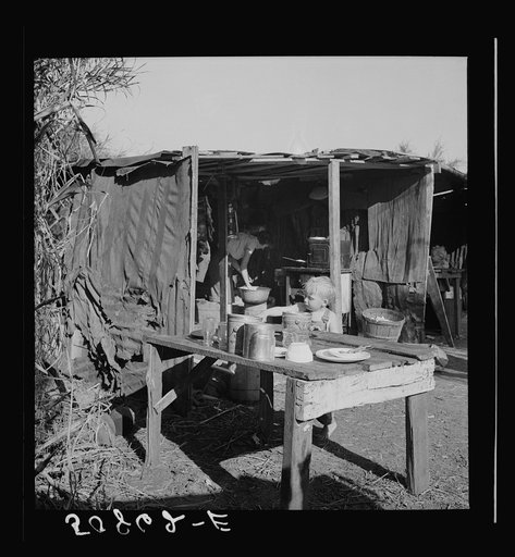 Migrant packinghouse workers' living quarters: tin and burlap shack in swamp cane by canal. From Tennessee, two families, eight children. Belle Glade, Florida. See general caption no. 2