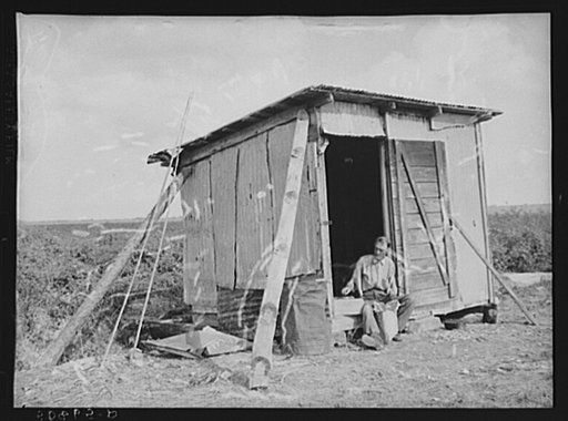 Old shack, formerly a field house, lived in by migrant agricultural laborer from Tennessee who formerly worked on the railroad. Homestead, Florida