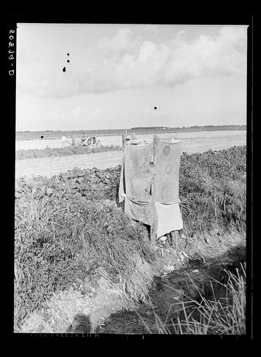 Privy alongside irrigation and drainage ditch for agricultural workers. Homestead, Florida