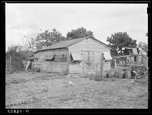 Old goat house. The front part cleaned out and converted into living quarters for migrant agricultural workers (white boys) employed in packinghouses in Homestead, Florida. Four boys live in the one room and do their own cooking. The goats still stay in the rear
