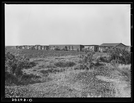 Untitled photo, possibly related to: Negro migrant agricultural workers quarters near Belle Glade, Florida