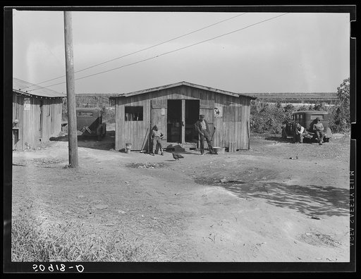 Negro migrant agricultural worker's quarters near Belle Glade, Florida. The car has a New Jersey license
