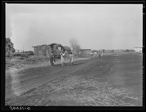 Migrant agricultural worker coming home. Lake Harbor, Florida