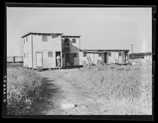 Negro quarters for migrant agricultural workers. Lake Harbor, Florida