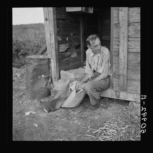 Untitled photo, possibly related to Former railroad man from Tennessee who was picking beans in Homestead, Florida