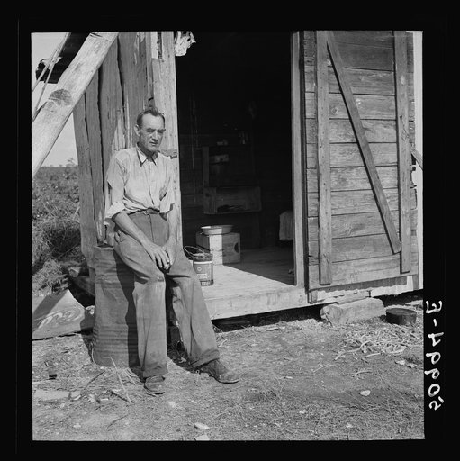 Untitled photo, possibly related to Former railroad man from Tennessee who was picking beans in Homestead, Florida