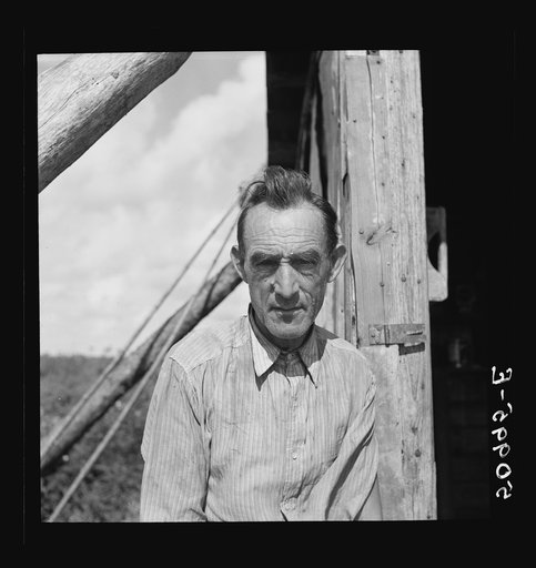 Untitled photo, possibly related to Former railroad man from Tennessee who was picking beans in Homestead, Florida