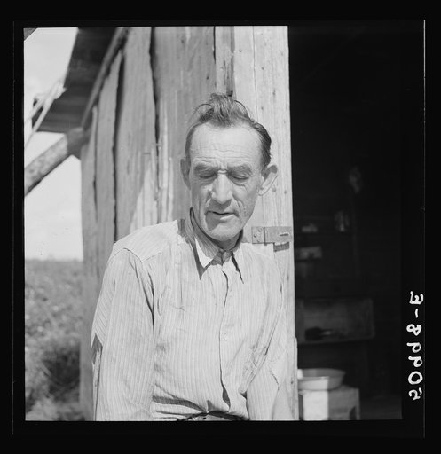 Untitled photo, possibly related to: Former railroad man from Tennessee who was picking beans in Homestead, Florida