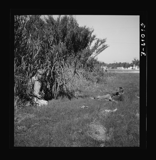 Wandering "preacher" often seen in the South. Belle Glade, Florida