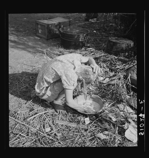 Child of packinghouse laborers from Tennessee. Trying to wash black muck out of her hair with water from canal. The muck causes an itchy rash and scabs and sores on scalp.  Belle Glade, Florida