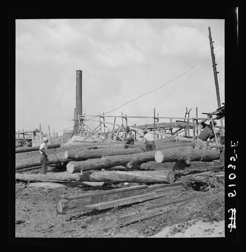 Untitled photo, possibly related to: Pine logs to be planed in sawmill. Childs, Florida