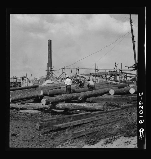 Untitled photo, possibly related to: Pine logs to be planed in sawmill. Childs, Florida