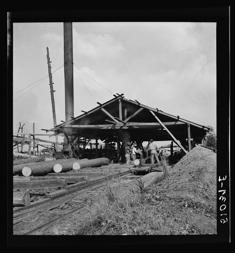 Untitled photo, possibly related to: Waiting for motor to cool off. Sawmill, Childs, Florida