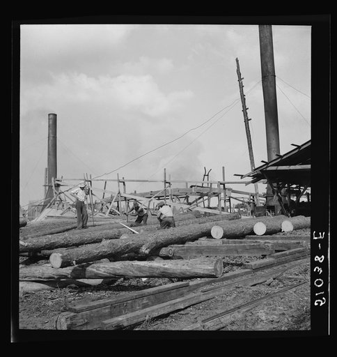 Untitled photo, possibly related to: Waiting for motor to cool off. Sawmill, Childs, Florida