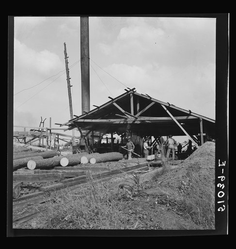 Untitled photo, possibly related to: Waiting for motor to cool off. Sawmill, Childs, Florida