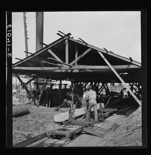 Untitled photo, possibly related to: Waiting for motor to cool off. Sawmill, Childs, Florida