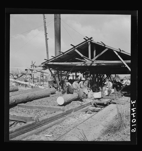 Untitled photo, possibly related to: Waiting for motor to cool off. Sawmill, Childs, Florida