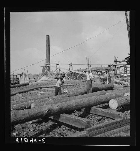 Untitled photo, possibly related to: Pine logs to be planed in sawmill. Childs, Florida