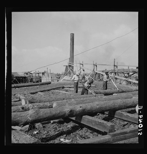 Pine logs to be planed in sawmill. Childs, Florida