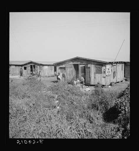 Negro quarters for migrant agricultural laborers near Belle Glade, Florida