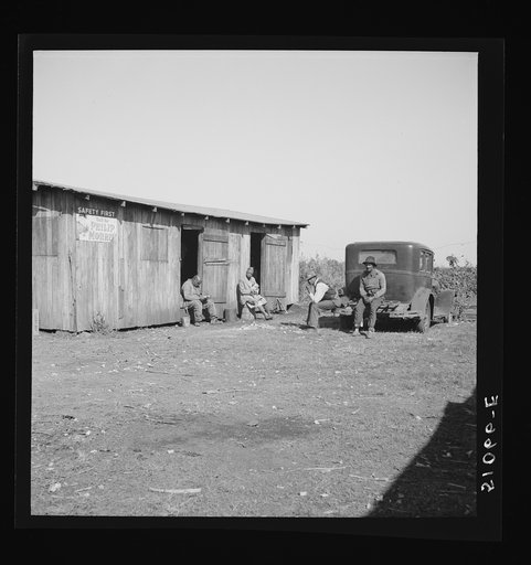 Untitled photo, possibly related to: Negro quarters for migrant agricultural laborers near Belle Glade, Florida