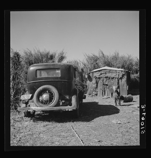 Migrant packinghouse worker shack made of old tin and burlap, open at front. By canal near Belle Glade, Florida