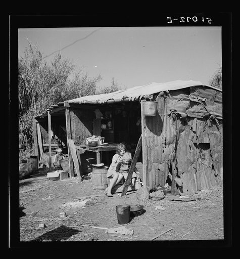 Migrant packinghouse workers' camp in swamp cane clearing.  Housing two families (twelve people) from Tennessee.  No lights, no water, no privy.  Wash water is hauled from dirty canal, drinking water is hauled from packing house.  Belle Glade, Florida