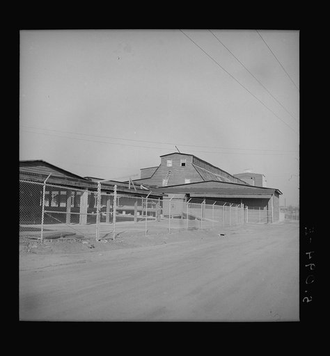 Untitled photo, possibly related to: Hensley Hollow, West Virginia. Miner's shacks