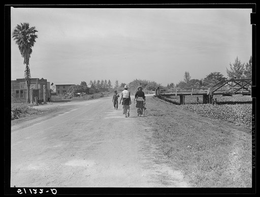 Migrant vegetable pickers and packing houseworkers returning from work. Belle Glade, Florida