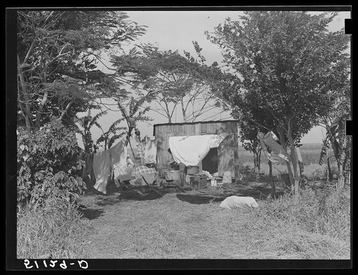 Migratory vegetables pickers and packinghouse workers' living quarters near Belle Glade, Florida