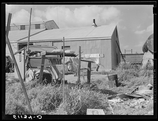 Migrant vegetable pickers and packinghouse workers. The scramble for that rare commodity--work. The trailer is next to the packinghouse door so that its occupants may be the first. Belle Glade, Florida