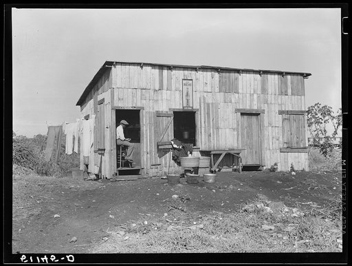 Migrant vegetable pickers. The tailor and cleaner to laborers near Lake Harbor, Florida