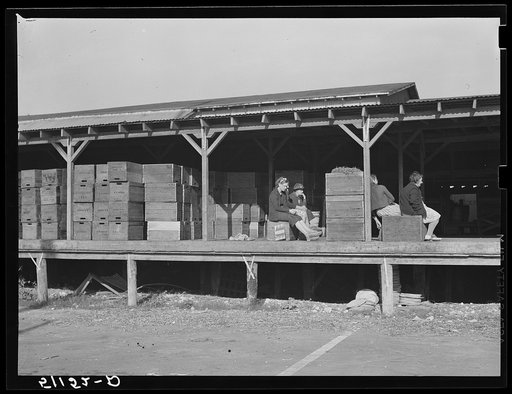 Migrant packinghouse workers waiting around for work. Amount of work depends on quantity of produce available. If many truckloads come in, they may work all night, otherwise only an hour or two. If there is a drought or frost (freeze-out) they may have to wait six or eight weeks for the next crop. B