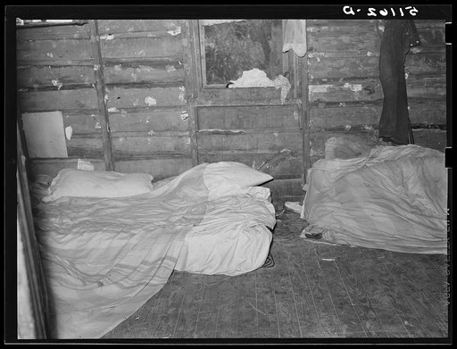 Migrant vegetable pickers and packing houseworkers  living quarters. This shack rents for eight dollars per month. No water, light, or sanitary facilities (see 51158-D and 51162-D). Eleven people sleep in it. Near Canal Point, Florida