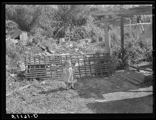 Migratory packinghouse worker's child (see 51134-D and 51137-D). Near Belle Glade, Florida