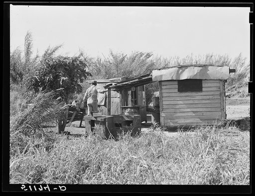 Fish store for migratory vegetable pickers near Lake Harbor, Florida