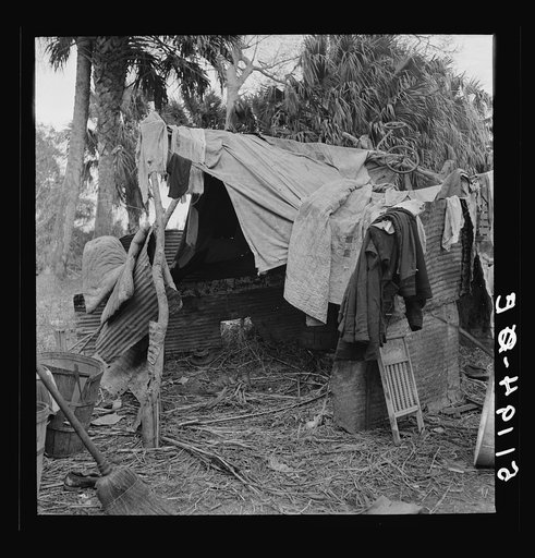 Part of migrant laborers' camp (packinghouse workers) near Canal Point, Florida. Just enough land to set up camp rents for five dollars per month and they must clear it themselves. There is no water, no light, no sanitary facilities