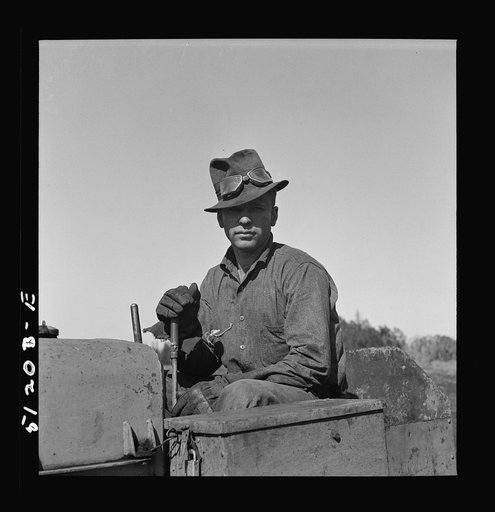 A migrant day laborer from North Carolina running a tractor near Lake Harbor, Florida