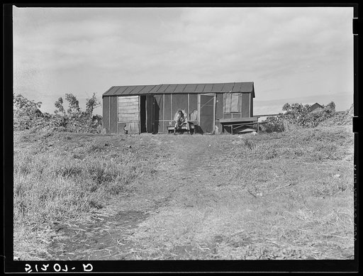 Migrant vegetable picker's living quarters near Lake Harbor, Florida