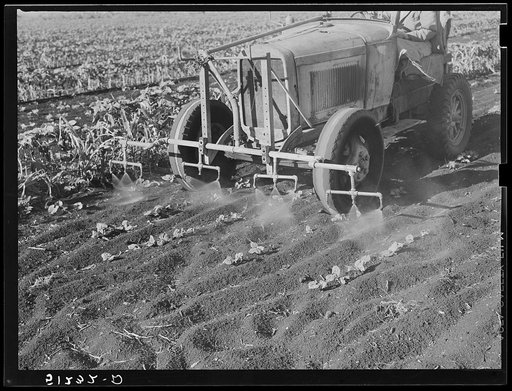 Untitled photo, possibly related to: Tractor with bean planter and fertilizer used on large flat muck farm land, about 2000 acres, near Lake Okeechobee and Clewiston, Florida