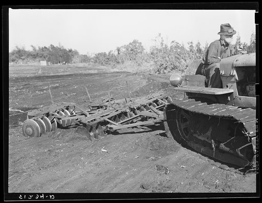 Sugarcane fields. Tractor-driven disc plough and harrow is used on many large flat muck land farms. This farm is about 2000 acres. Near Lake Okeechobee and Clewiston, Florida