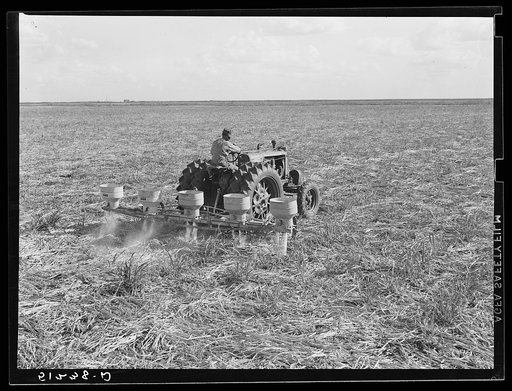 Fertilizer for large fields of sugarcane distributed by tractor-driven fertilizer machine. USSC (United States Sugar Corporation). Clewiston, Florida