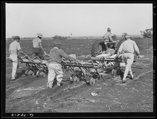 Tractor-driven combination bean planter and fertilizer used on large tracts of farmlands around Lake Okeechobee, Florida