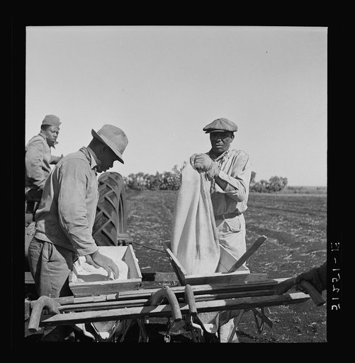 Dumping bag of fertilizer into combination bean planter and fertilizer machine used on large farming areas around Lake Okeechobee, Florida