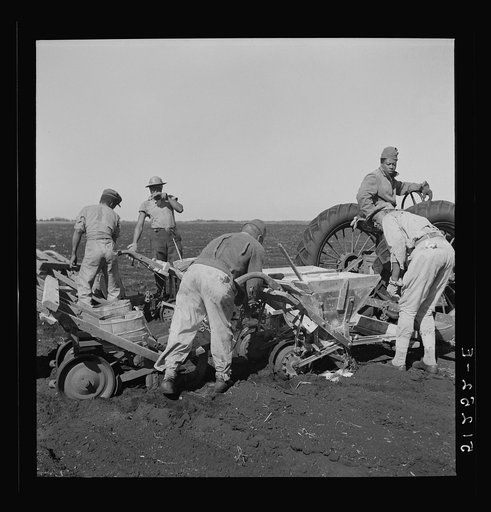 Tractor-driven combination bean planter and fertilizer machine used on many large tracts of land in Florida farming area. Near Lake Okeechobee, Florida