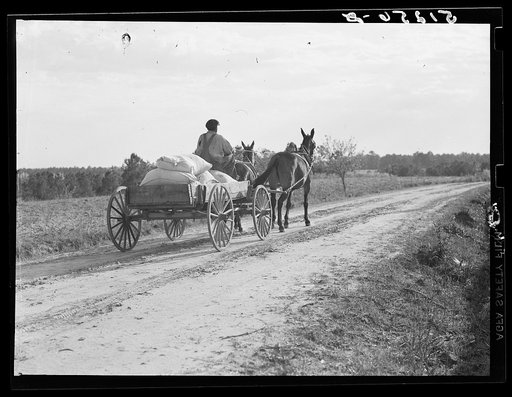 Colored tenant farmer taking home bags of fertilizer. Greene County, Georgia