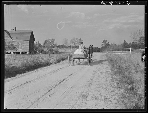 Colored tenant farmer taking home bags of fertilizer. Greene County, Georgia