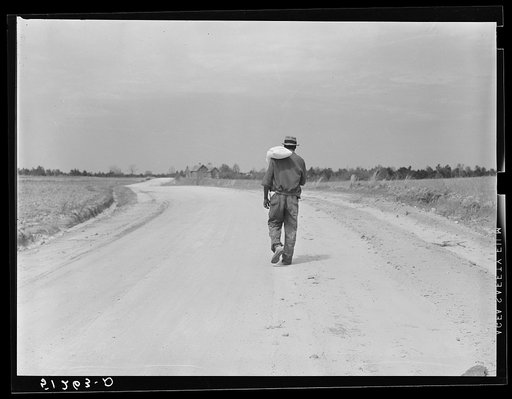 Untitled photo, possibly related to: Colored tenant farmer carrying home a sack of flour which he calls "heaven dust." Greene County, Georgia