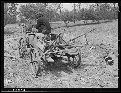 Wagon with plows, and farm tools in field. Greene County, Georgia