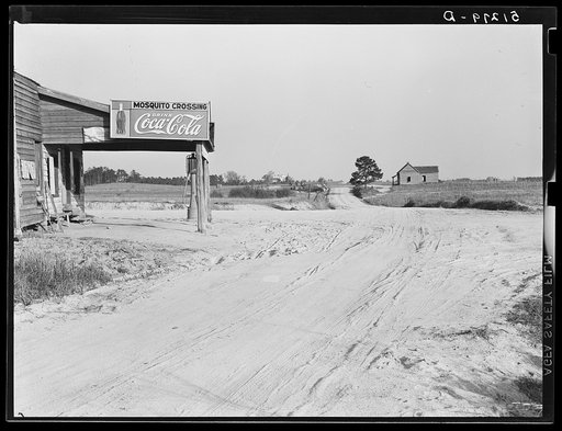 Mosquito crossing near Greensboro. Greene County, Georgia